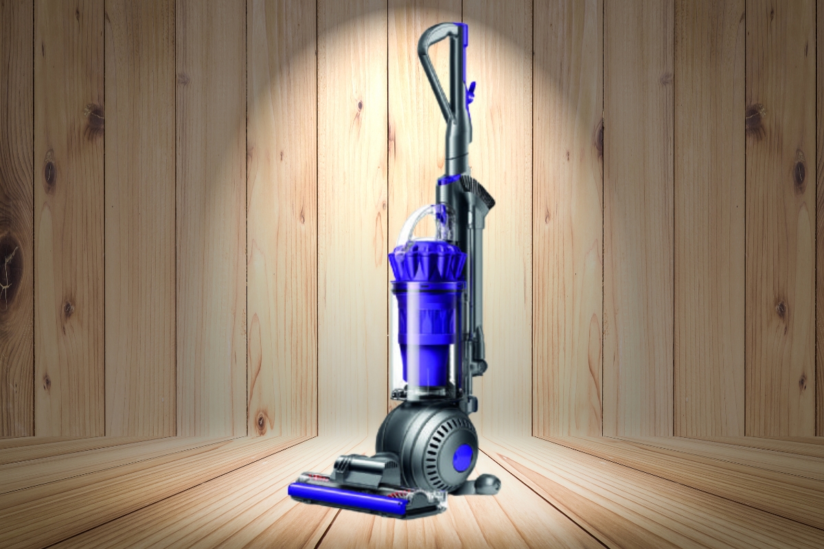 Dyson Ball Animal 2 usisivač