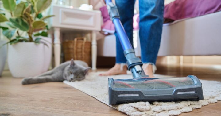 Najbolji usisivači za dlake kućnih ljubimaca